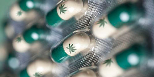 Du cannabis dans les médicaments, pour bientôt?