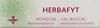 SORIA DERMOSOR HERBAFYT GEL BUCCAL        SPRAY 5G