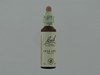 BACH FLOWER REMEDIE 10 CRAB APPLE     20ML