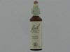 BACH FLOWER REMEDIE 23 OLIVE          20ML