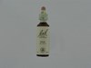 BACH FLOWER REMEDIE 24 PINE           20ML