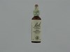 BACH FLOWER REMEDIE 25 RED CHESTNUT   20ML