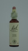 BACH FLOWER REMEDIE 32 VINE           20ML