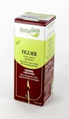 HERBALGEM FIGUIER              MACERAT 15ML