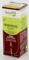 HERBALGEM FRAMBOISIER          MACERAT 15ML