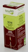 HERBALGEM VIGNE                MACERAT 15ML