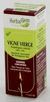 HERBALGEM VIGNE VIERGE         MACERAT 15ML