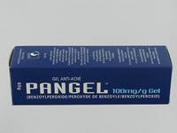 PANGEL 10 % GEL  60G                              