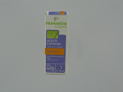 GAULTHERIE COUCHEE          HLE ESS  10ML PRANAROM