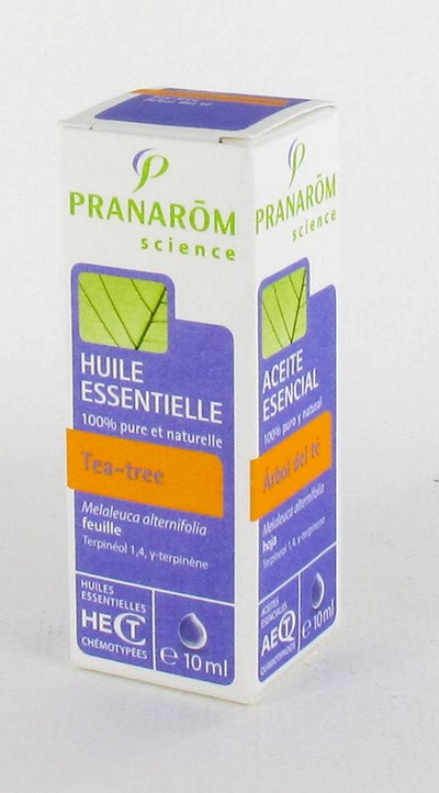 TEA TREE                    HLE ESS  10ML PRANAROM