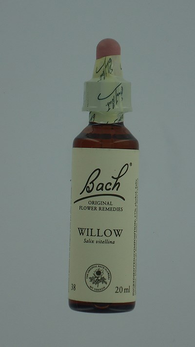 BACH FLOWER REMEDIE 38 WILLOW         20ML